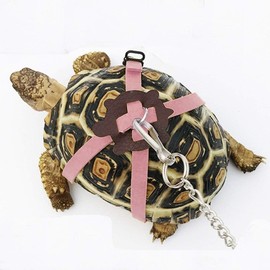 Adjustable Turtle Harness Leashes Soft Leather Harness Strap for Tortoise Pet Outdoor Walking Lead Control Rope Chest Collar Leash for Turtle Supplies (M,Pink)