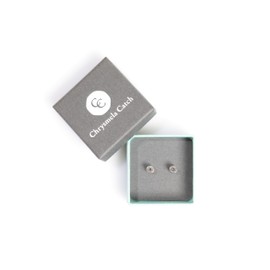 Chrysmela Catch CC-SS Platinum Color, Surgical Stainless Steel, Patent