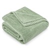 PAVILIA Soft Fleece Light Green Throw Blanket for Couch, Lightweight