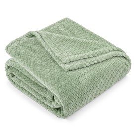 PAVILIA Soft Fleece Light Green Throw Blanket for Couch, Lightweight Plush Warm Blankets for Bed, Fuzzy Cozy Flannel Blanket Throw for Sofa, Travel, Jacquard Pattern, Sage Green, Twin, 60x80 inch