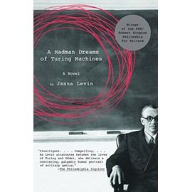 A Madman Dreams of Turing Machines