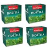 Cha de Hortela - Mint Tea for Oral Health Bad