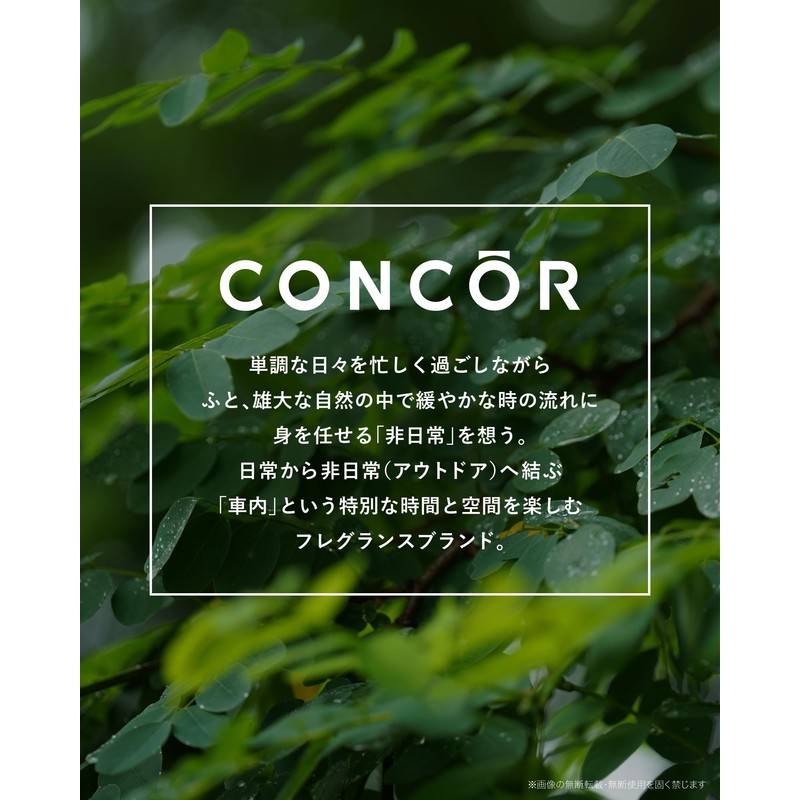 Nol Corporation CONCOR Clip & Hang AF2P WG COC0402