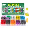 Bolatus 80Pcs Car Fuses Mini and Standard Blade Fuses 2Amp