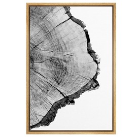 SIGNWIN Framed Canvas Print Wall Art Detailed Wood Rings of Tree Nature Wilderness Photography Realism Rustic Dramatic Grey Black and White for Living Room, Bedroom, Office - 16"x24" Natural