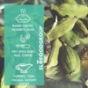 Slofoodgroup Green Cardamom Pods -Natural Cardamom Spice - 2 Oz.
