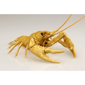 Free Research Series No.24 EX-5 Ikimono Edition American Crawfish (Gold) Plastic Model