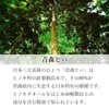 Natural Hiba Oil from Aomori Prefecture with Inner Plug (0.7