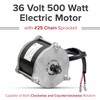 AlveyTech 36 Volt 500 Watt Electric Motor with #25 Chain