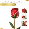 Miorose Eternal Rose Preserved Gold Dipped Forever Rose Golden 24k