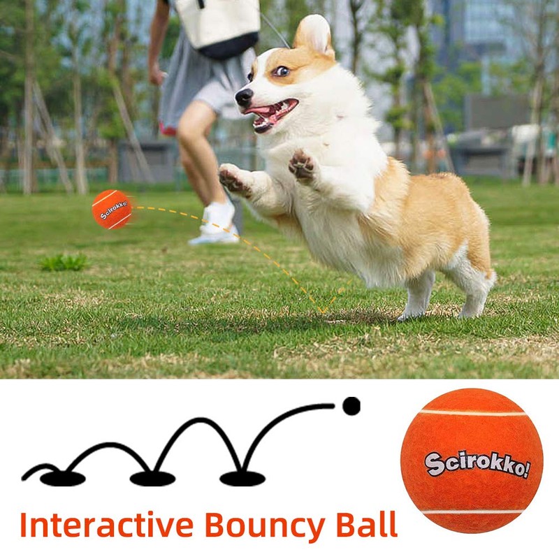 SCIROKKO Tennis Balls for Dogs - Squeaky Bouncy Ball Toys