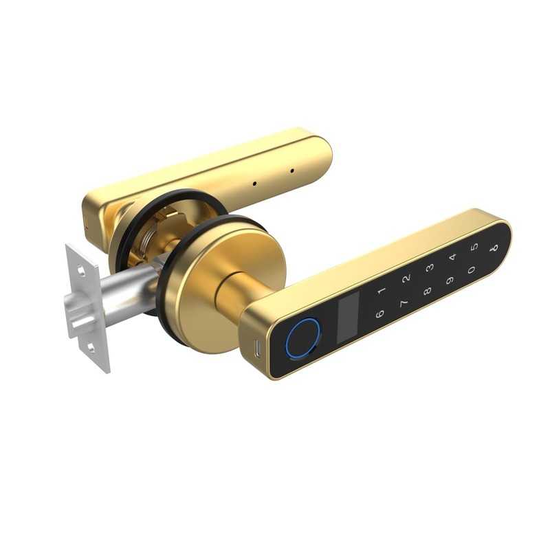 Foxlock Fingerprint Door Lock with Screen, RFID Smart Door Handle