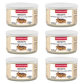 JADINGSFARM 6 Pack Canned Crickets for Reptiles, Fish, Birds and Small Animals, Crickets, Healthy High Protein Treat, Reptile Bird Fish Food 1.2 Ounces Each