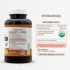 Secrets of the Tribe Hydrangea USDA Organic 120 Capsules |