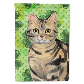 Caroline's Treasures CK3058GF American Shorthair Brown Tabby Shamrock Garden Flag, Green Mailbox Flag Decorative Yard Flag Banner Outside Patio Artwork Yard Flower Beds, Garden Size, Multicolor