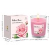 24 Pack Scented Aromatherapy Candles - 12 Fragrances 1.8 Oz