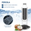 MIWF6200 Water Filter, Compatible with Sharp® SJWF200, SJG2254FS, Thor Kitchen®