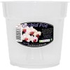 Clear Orchid Pot 15 cm