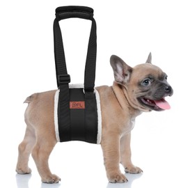 Adjustable Dog Lift Harness, Dog Sling for Large Dogs Lift Support and Rehab Harness for Weak Rear Legs, Soft Hind Leg Support Helps Senior, Injured, Disabled and After ACL Surgery Dogs(Black,Small)