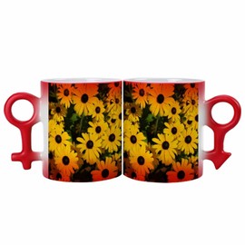 ducanll Chrysanthemums In The Sun-Espresso Cups Glass Coffee Mugs Set of 2-Valentines Day Gifts for Her-Mugs for Women,Couples Gift Ideas White Elephant Gifts for Adults