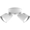 Lithonia Lighting HomeGuard 2-Light LED Outdoor Flood Lights, Wall or