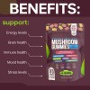 Functional Mushroom Gummies, 2500mg w/Ashwagandha Shiit Blend for Focus Immunity