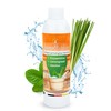 Sauna Infusion Sauna Infusion Steam Bath Concentrate Composition of American