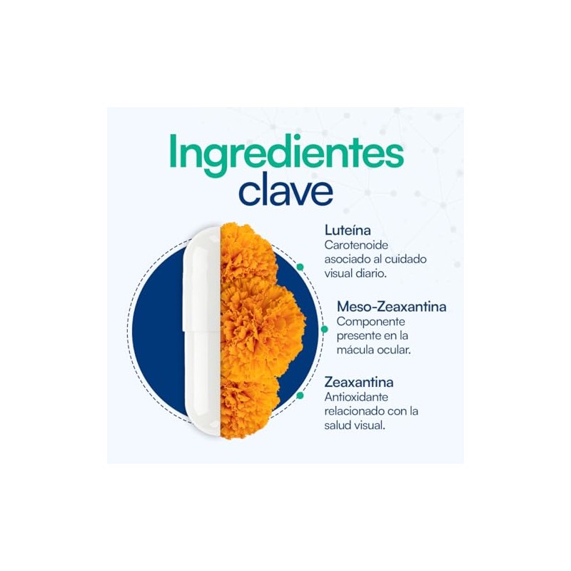 Vsion Ultra Laboratorios Luteína Zeaxantina Suplemento Natural Cápsulas