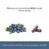 Eclectic Herb - Bilberry Capsules | Vision Health, Cardiovascular Support