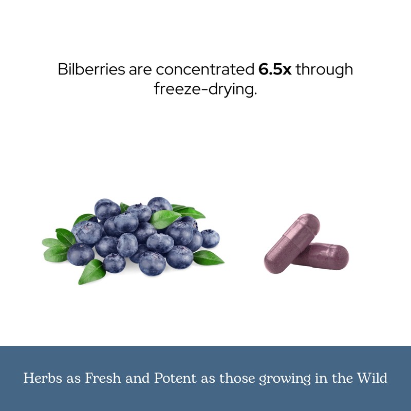 Eclectic Herb - Bilberry Capsules | Vision Health, Cardiovascular Support