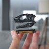 73510 Dinosaur hukuiraputoru Skull Mini Model (FDW – 510)