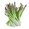 Todd's Seeds Mary Washington Asparagus Seed Packet - 10g Seed