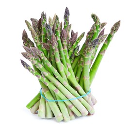 Todd's Seeds Mary Washington Asparagus Seed Packet - 10g Seed Packet