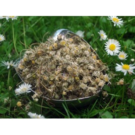 Naturix24 Daisy Tea - Daisy Whole - 250g Bag