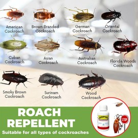 household cleaners:_3 pcs