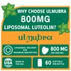 Ulmubra 800MG Liposomal Luteolin Supplement - Maximum Absorption, Premium Antioxidant