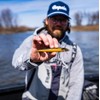 Rapala FLOATER Elite 120 GDGS Gild Gold Shad FE120