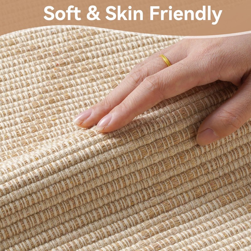 QiCaiJia 2x4 Entryway Area Rugs, Washable Kitchen Rug, Low-Pile Small