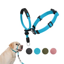 SVD.PET No-Pull Dog Headcollar for Easier Walks, Chew-Proof Protector to Increase Comfort, Simple Design, Easy to Wear and Adjust (Large Size for Medium and Large Size Dogs, Sky Blue)