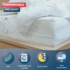 WRAPPYBAG Bed Bugs Mattress Protector - Mattress Cover - Zipped