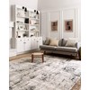 Loloi ll Alchemy Area Rug, 7'-11" x 10'-6", Silver/Grey