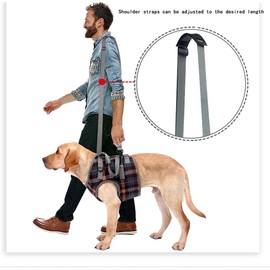 Carrying Aid, Dog Stairs, Dog Lift Harness, Mobility Aids, Carrying Aid Dog Rear Legs, Adjustable, Provides Support for Medium Older Dogs, Weak Legs, Surgery, Rehabilitation (XL