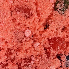 Poppin Crunch Bubble Gum Gushers Candy Snacks 1 - 2 LBS - Choice of Sweet or Sour Bonbon Candies Corn Sugar - Size: 5 Ounce Sampler, Flavor Option: Sweet