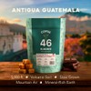 COFFEE 46 HUNDRED® Antigua Guatemala Whole Bean Coffee – Fresh