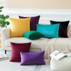 OTOSTAR Pack of 2 Velvet Soft Decorative Throw Pillow Covers