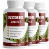 ProFuel Reishi capsules 540x - 2000 mg medicinal mushroom extract