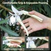 4PACK Pruning Shears, Stainless Steel Garden Shears, Sharp Handhled Gardening