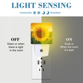 Uiaoiais Plug in Night Lights Sunset Sunflower Field Nightlight Plug Into Wall Dusk to Dawn Sensor LED Night Light for Kid Girls Boys Women Men Room Decor, Hallway, Kitchen, Bathroom, Nursery, Stairs