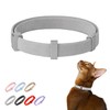 Safety Cat Collar Pro - U.S. IDA Gold Awarding Design,