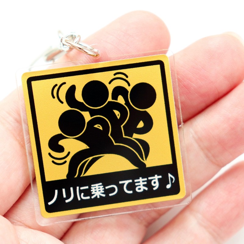SunAge Keychain, Riding on Nori, Pictogram Funny Key Chain, Keyring,